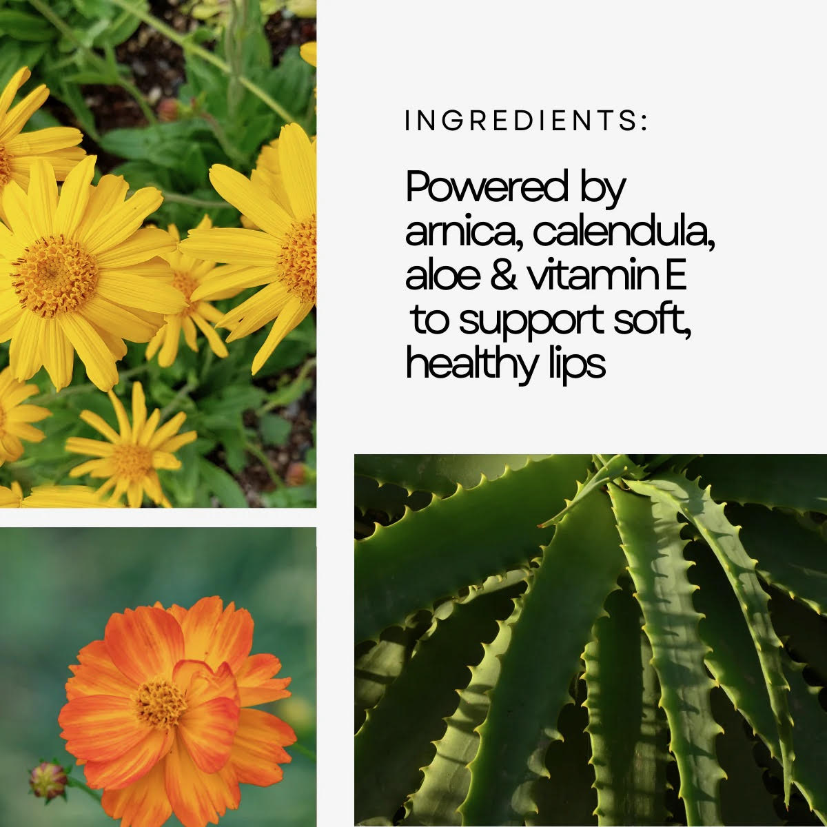 BOWLER Tinted Lip Gloss - Renewal Treatment